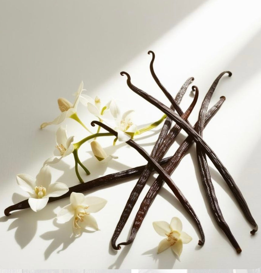 Esencia Warm Vanilla Sugar multipróposito