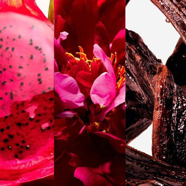 Esencia premium OUD & Rosa Búlgara