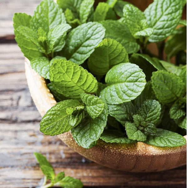 Esencia Menta / multiproposito