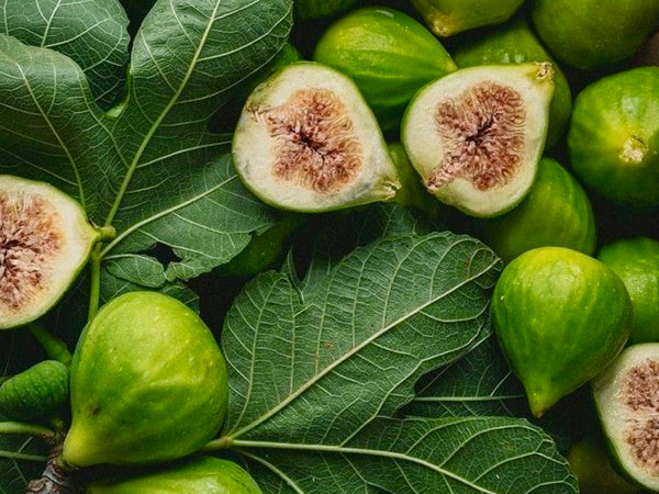 Esencia Jardín de higos verdes/ multiproposito