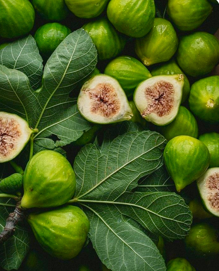 Esencia Jardín de higos verdes/ multiproposito