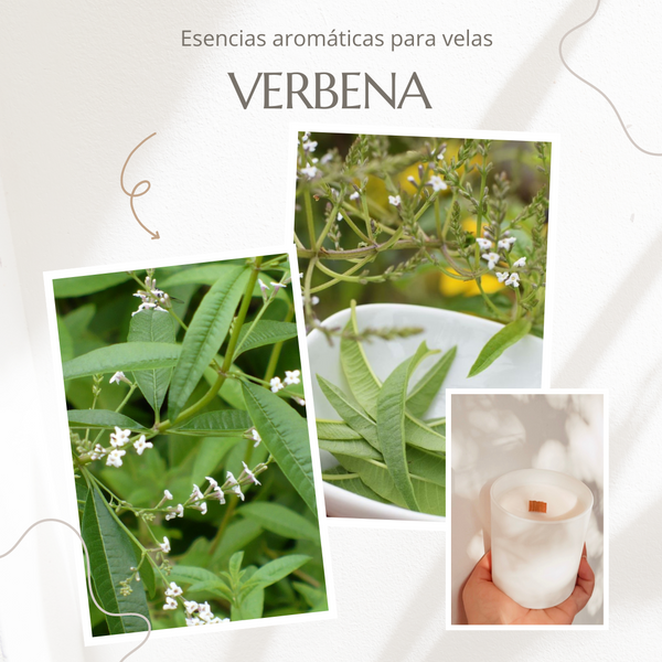 Esencia Verbena Lima multipróposito