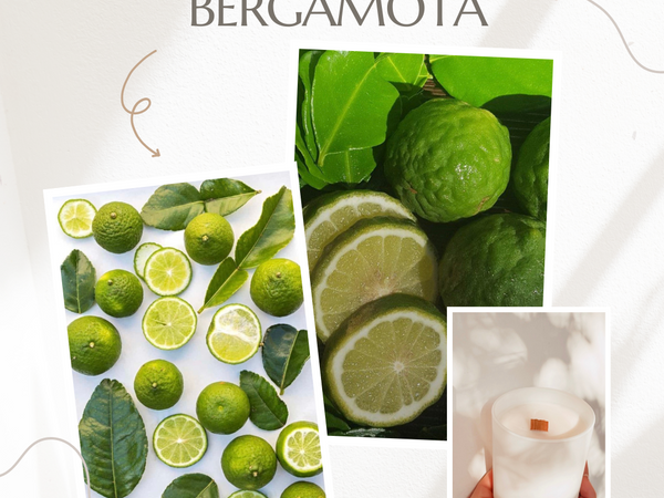 Esencia Bergamota Multipróposito