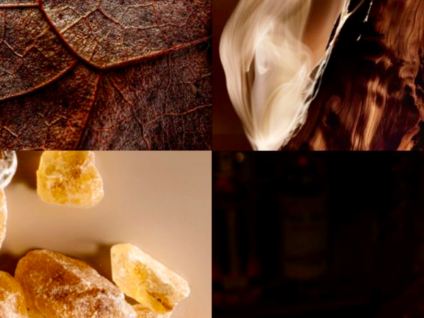 VELVET SANTAL